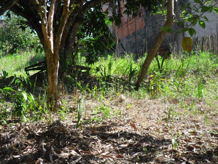 Chácara à venda com 1 quarto, 1000m² - Foto 1