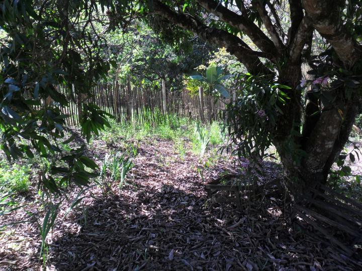 Chácara à venda com 1 quarto, 1000m² - Foto 3