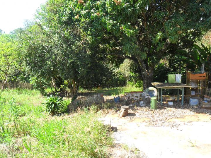 Chácara à venda com 1 quarto, 1000m² - Foto 6