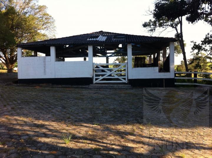 Chácara à venda com 3 quartos, 1200m² - Foto 14